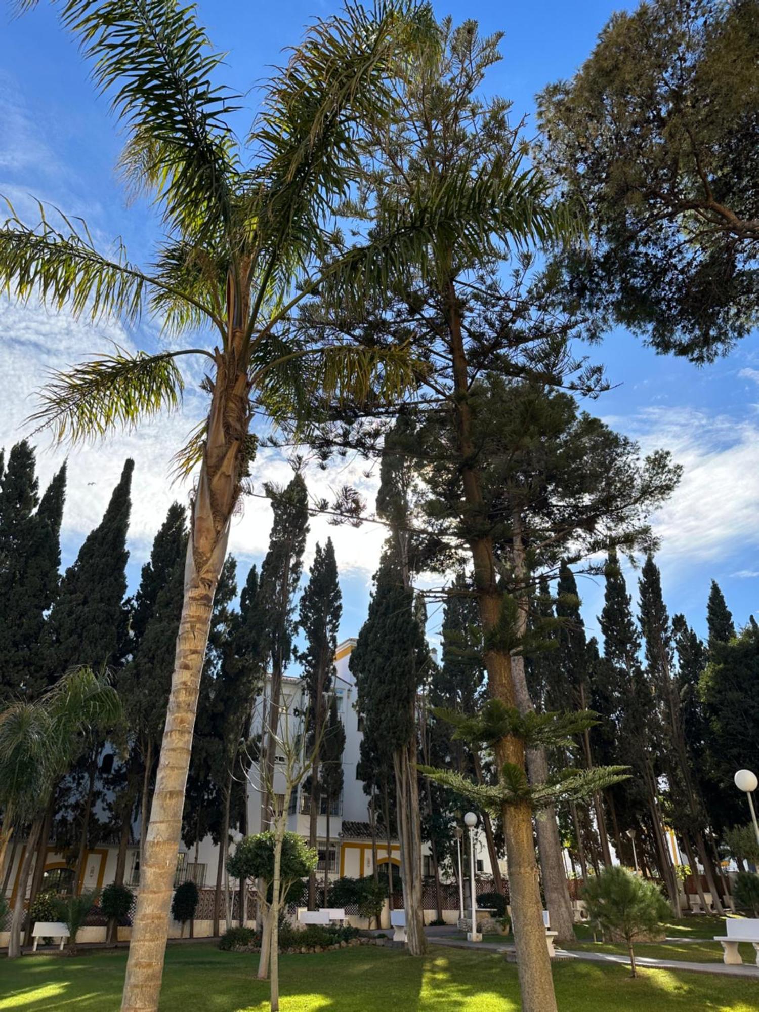 El Rocio * Torremolinos