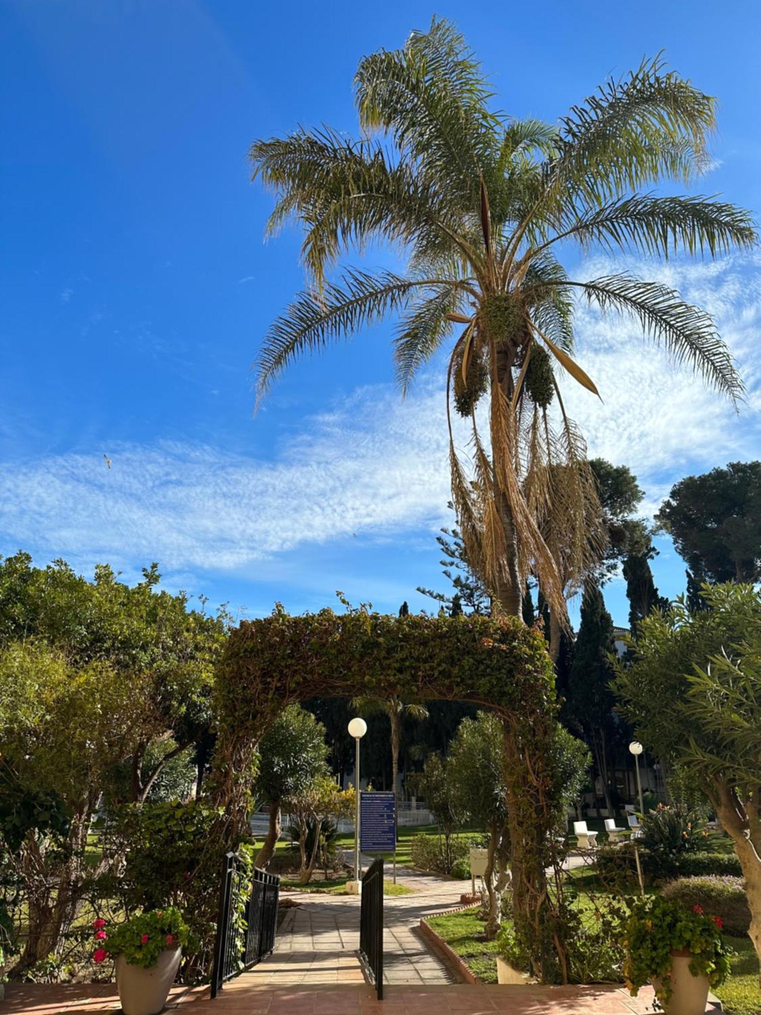 El Rocio Torremolinos