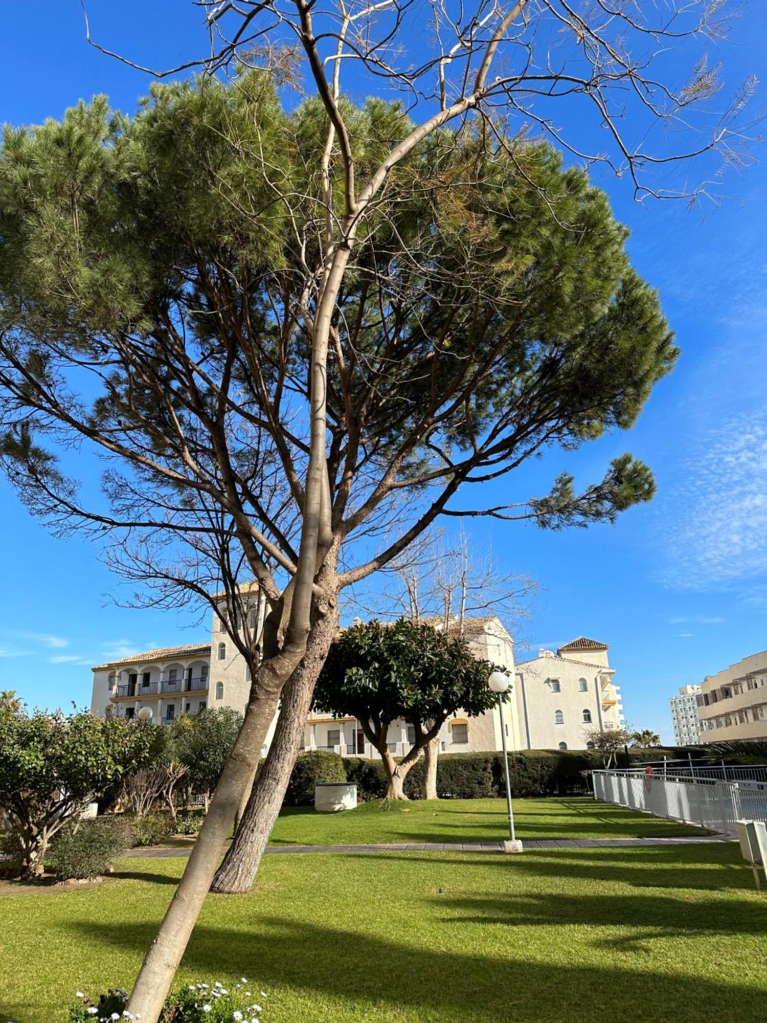 El Rocio 2 2 Banos Y Garaje Apartamento Torremolinos